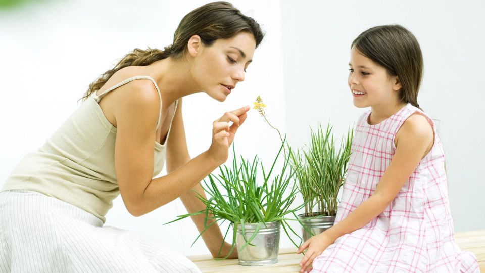 Природные фильтры: этим цветам самое место в детской комнате