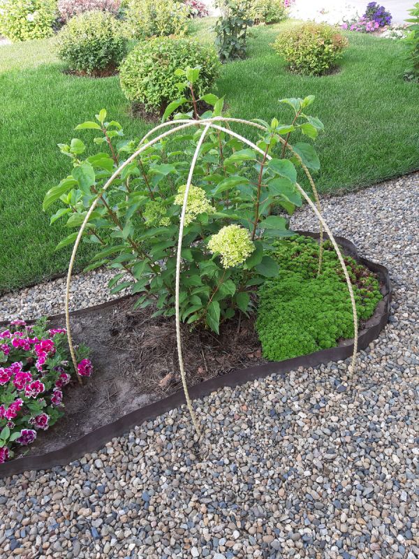 Как создать надежные опоры для гортензий: практическое руководство