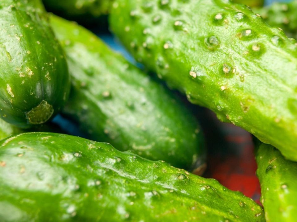 Почему ваши огурцы будут расти, как на дрожжах, без химических добавок? Удивительная сила обычной золы