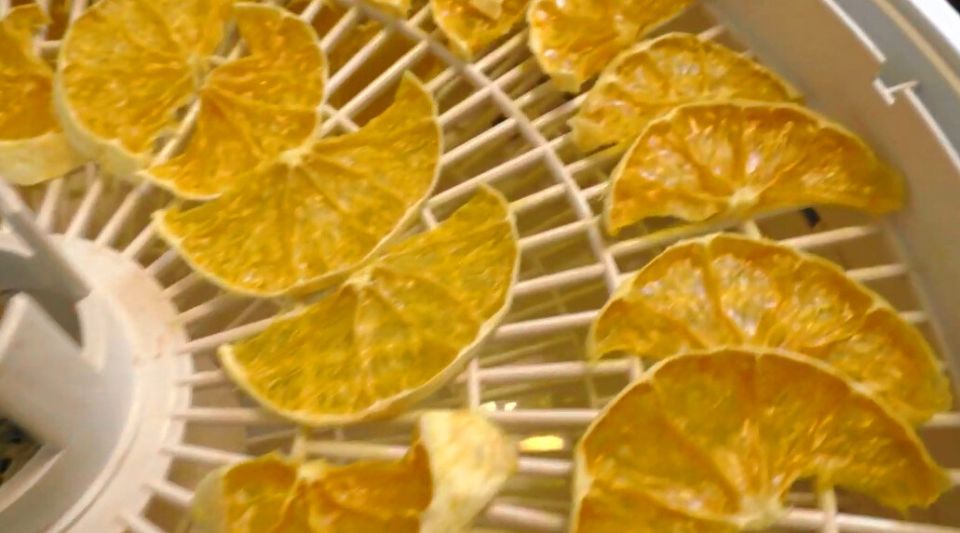 Как сушить апельсины в электросушилке