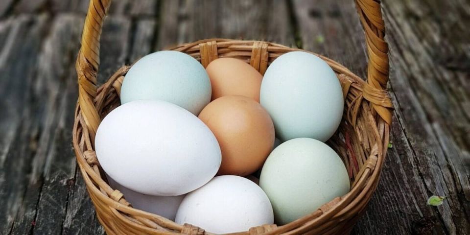 ��� ��������� ������� ����: ������� �������� � ������������