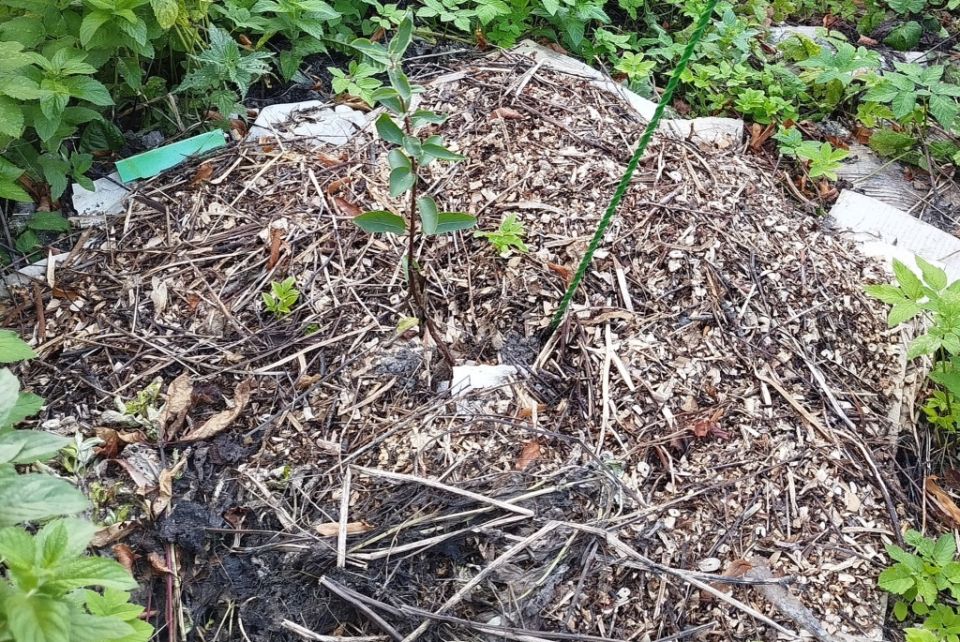 ������: ������ � ����� ������� ������� ��� ��������