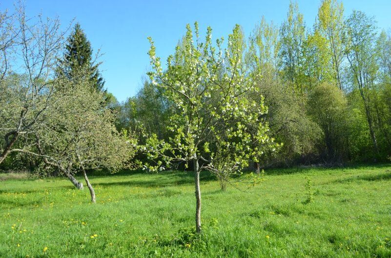 ��� ������� ��������� ����� ��� ��������� ����: ������ � ������������ ���������