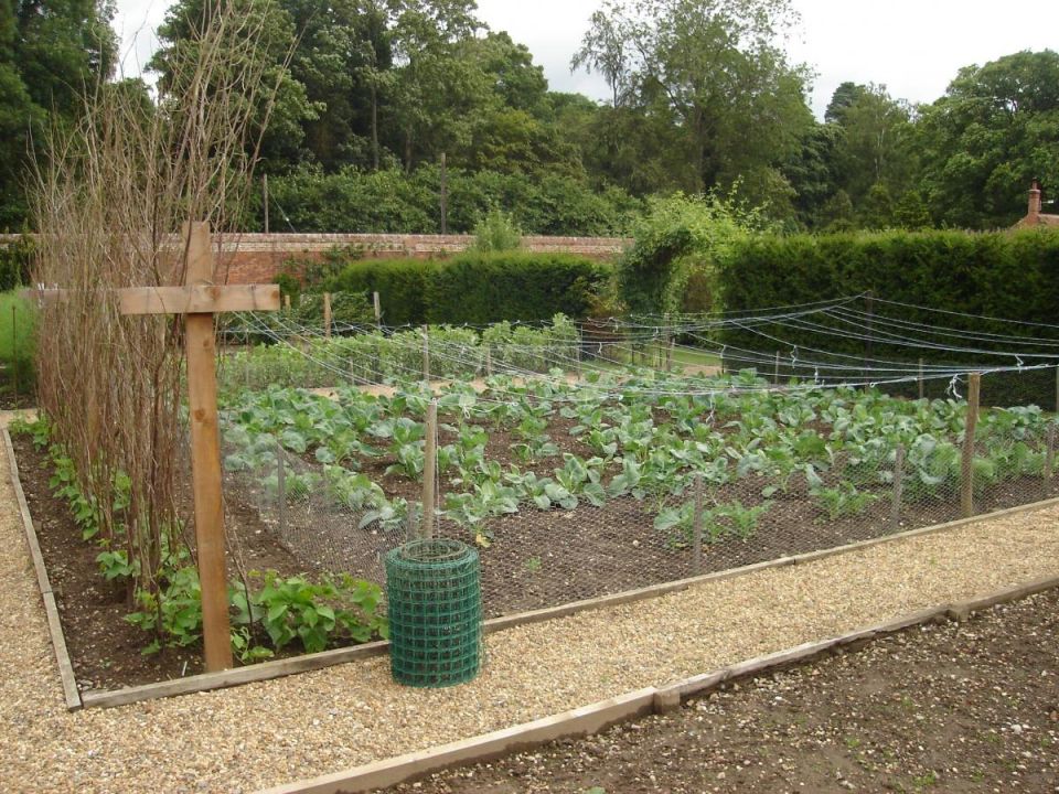 Как выбрать идеальное место для компоста: 5 важных рекомендаций