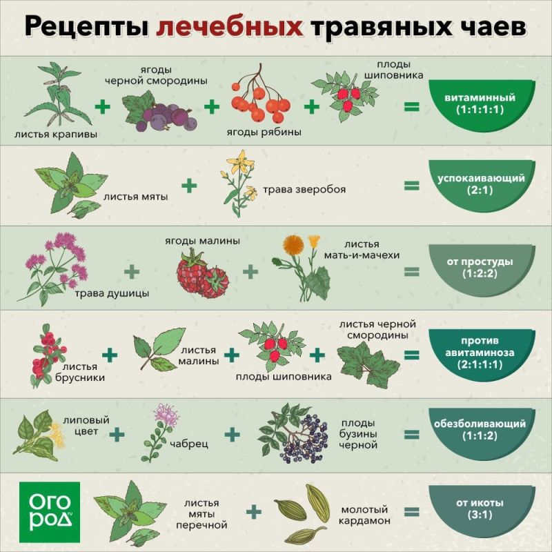 ��� ������� ���������� ������ �� ������� ������������