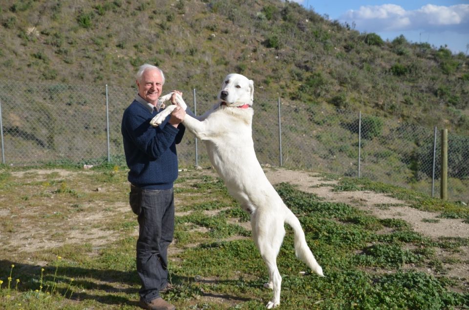 ������� ������ �����: ��� ����� ����� ����������