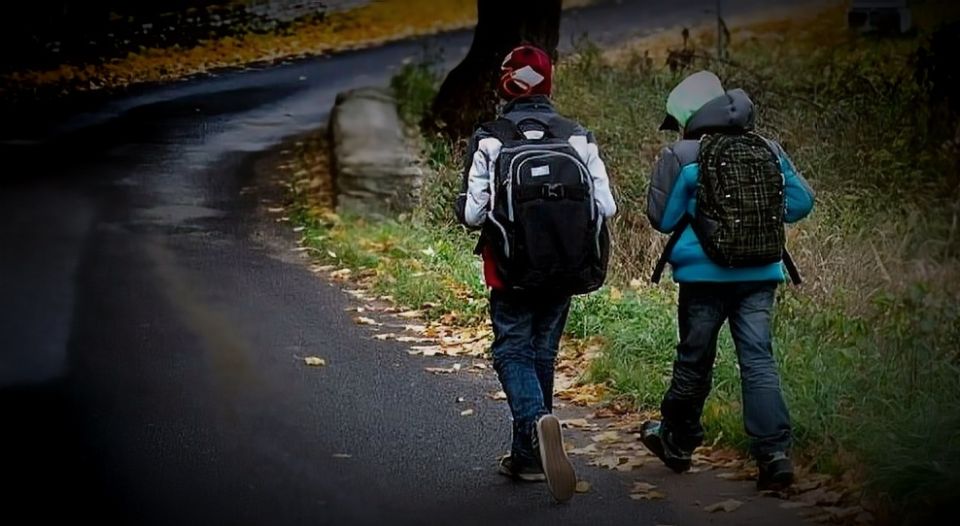 Как определить, к какой школе привязан ваш дом: советы для родителей