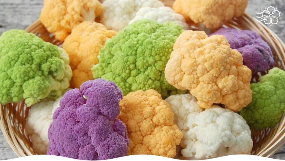 ������� �������: ������ ������ ����� ��� �������� ������ � 2026 ����