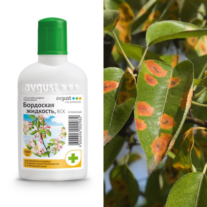 ������������ � ����������� ��������� ��������: ��� ����� ����� ���������