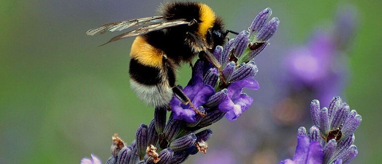 �������: �� ������ �������, �� � ������ ������ ����