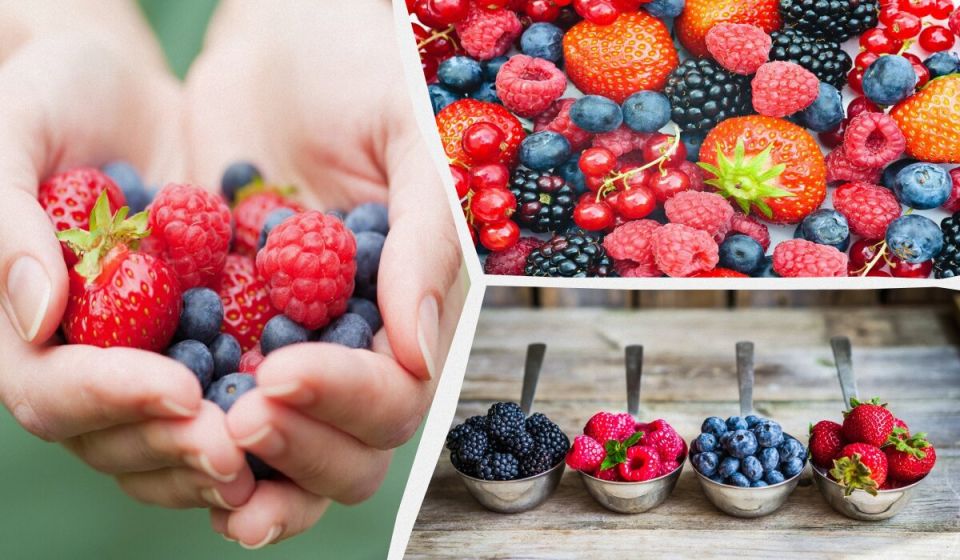 ���-9 ����������� ����, ������� ����� ����������� � 2026 ����