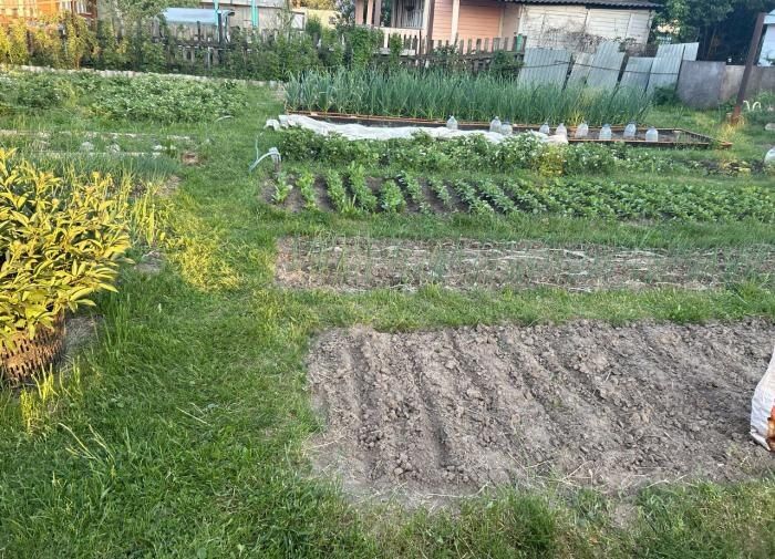 ��� ������������ ������ �����: ������� �������� ������� �������