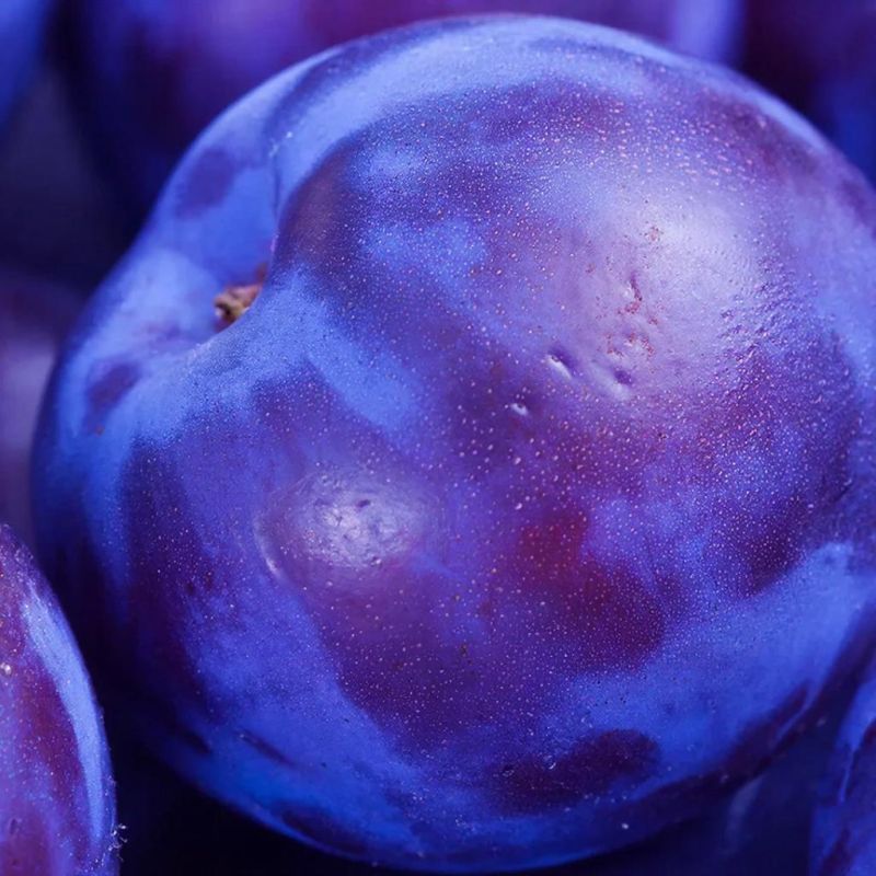 ������� �������� ����� �� �������: �� �������� �� ������