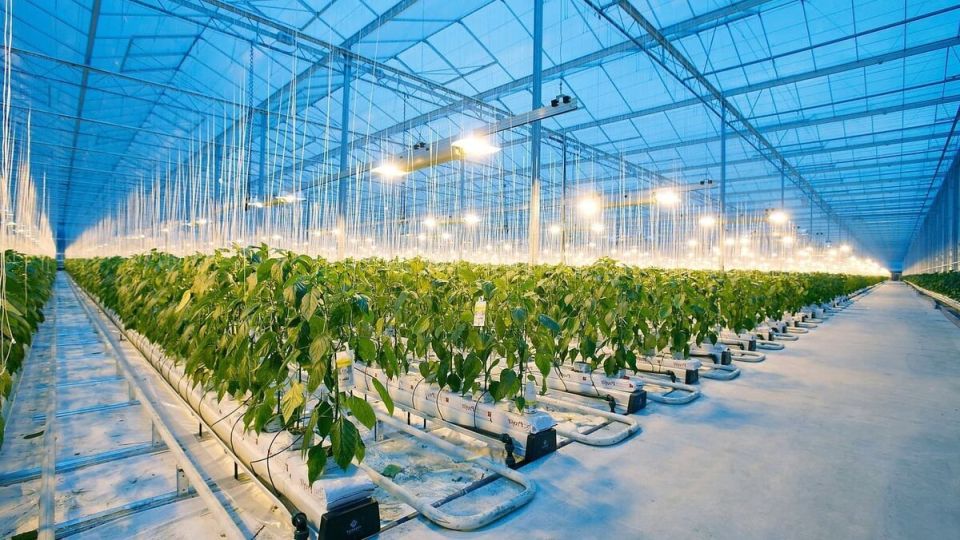 ��� ���������� ��������� ������ ������ ������ ������� ���� � ���������