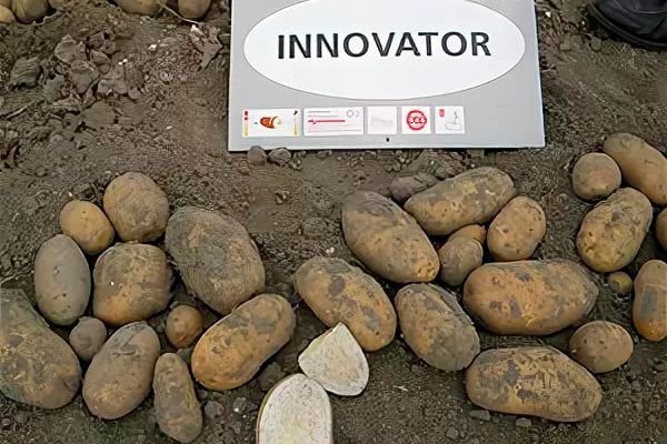 ��� ��������� ��������� ��������� ���������