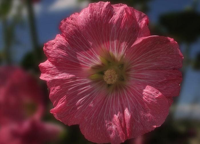 ������: ���������� �������, ������� ����� ��������� � ������ ����