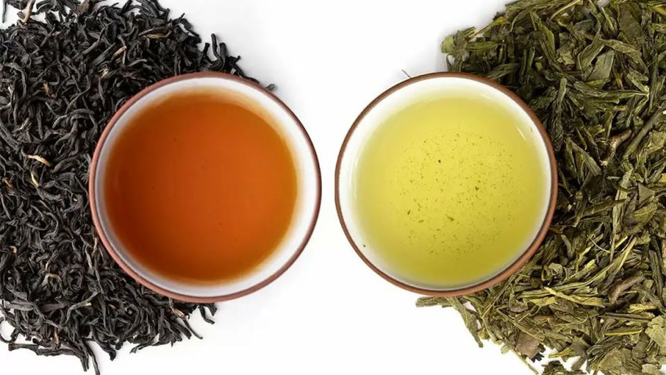 Как выбрать между зеленым и черным чаем: что полезнее?