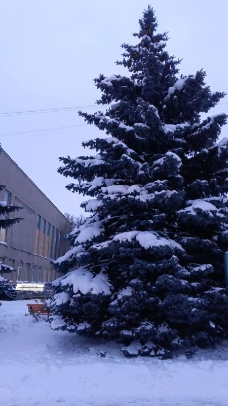 Диабет, онкология и постоянная борьба за лекарства: куда обратиться за помощью?