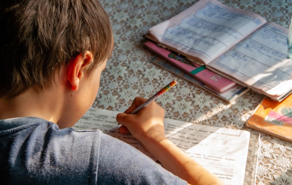 Реакция на блокировку готовых решений в образовании объясняет роль компетентного органа