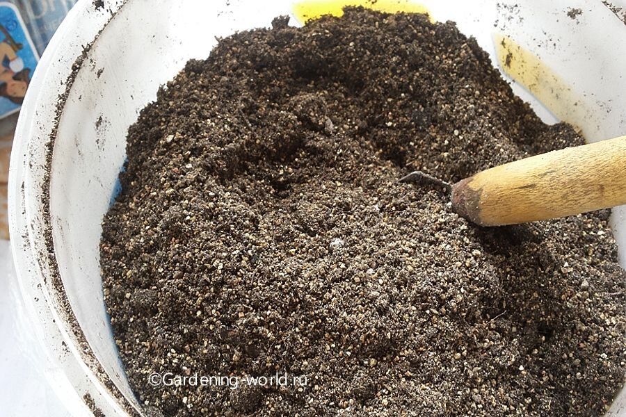 ��� �������� ����� ��� �������: ������ ����������� �������