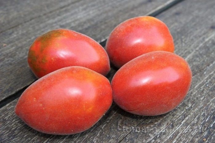 ����� ������ �� ������� ��� ������������� ���� � ����������� ������ � ���������� ������