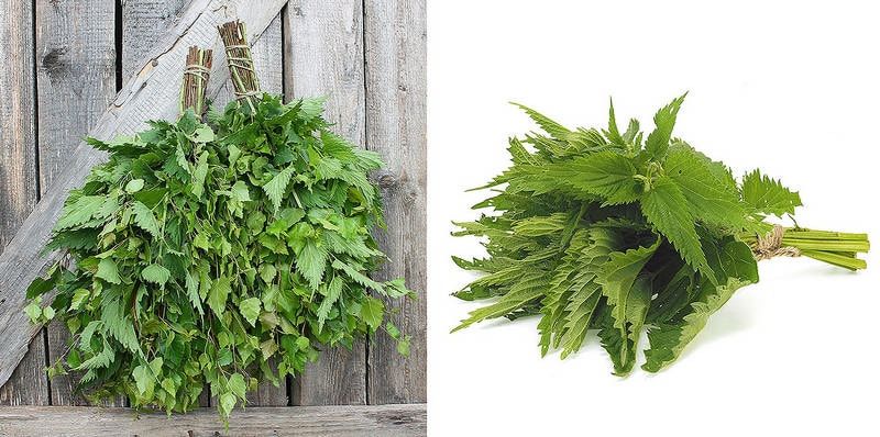 ��������� ����� ��� ���� ��� ���������� �������� ������� � ������������