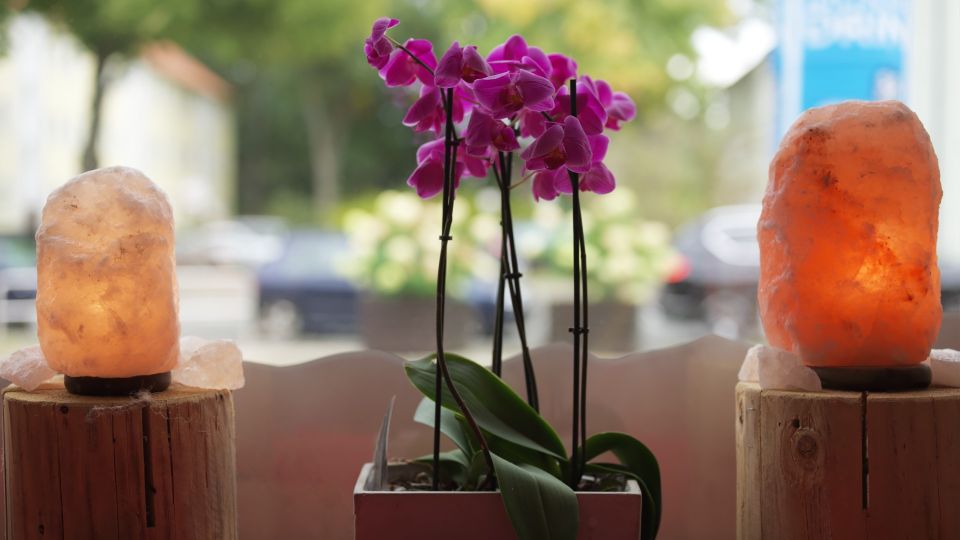 ������� �������� ������� �� �������� ������� � ���� ������: ������ ������ �� �����