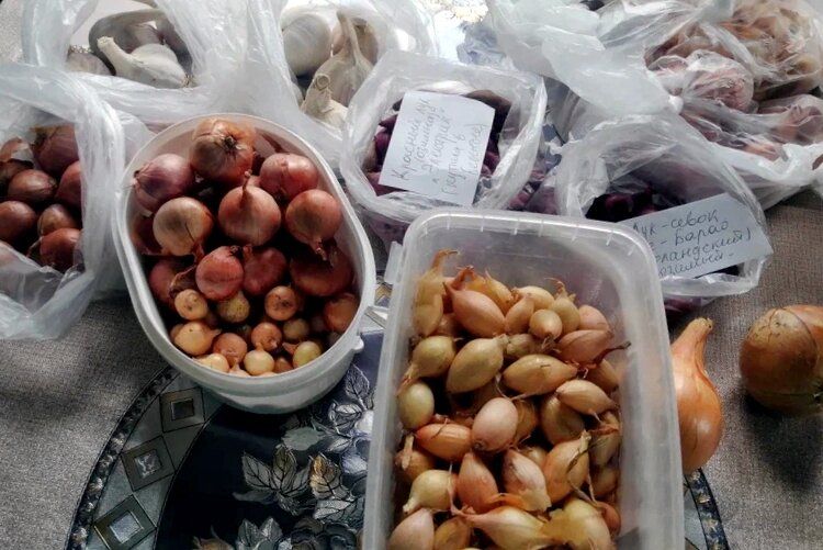 ��� �������������� ����� ����������� ��������� ������ ���� ��� ������������