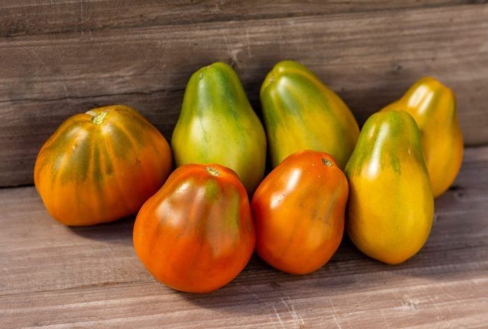 ����� ����� 13: ��������� ������ �� ������������� ���� � ����� ������