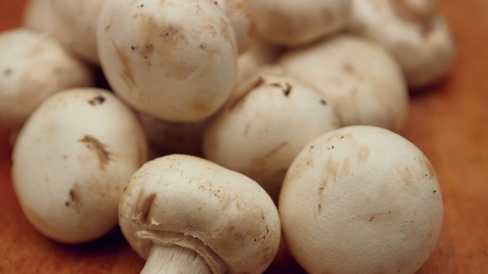 ���������� ����� ������ ���: ������ �� ��������� � �� ���������