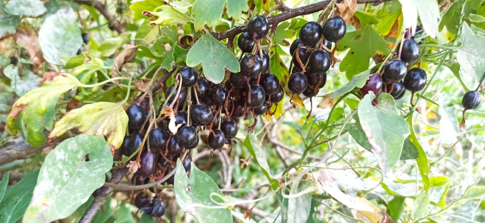 ������ ��������� � ���� ������ ������ � ��� ������� ������� ����� �� 5 �����