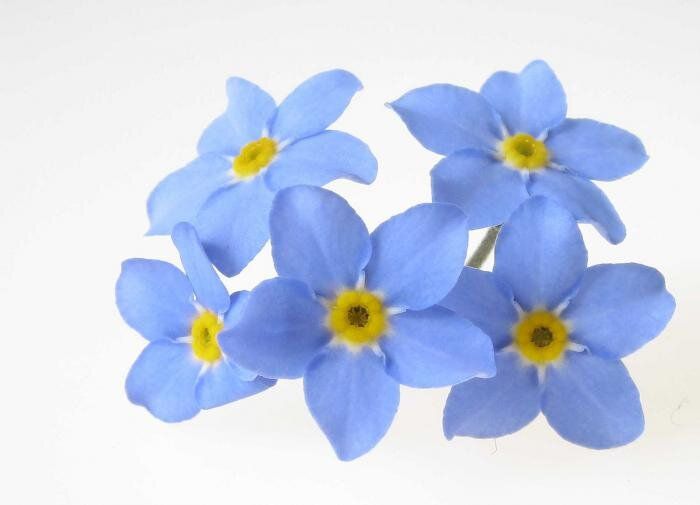 ������ ��������� � �������� ����� ��� ������ ����