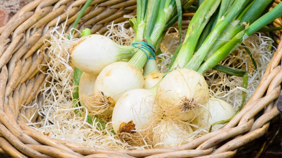 ������� ������ ������ �� ��������: � ���� ������� ��� ��� ������� �� ������ ������