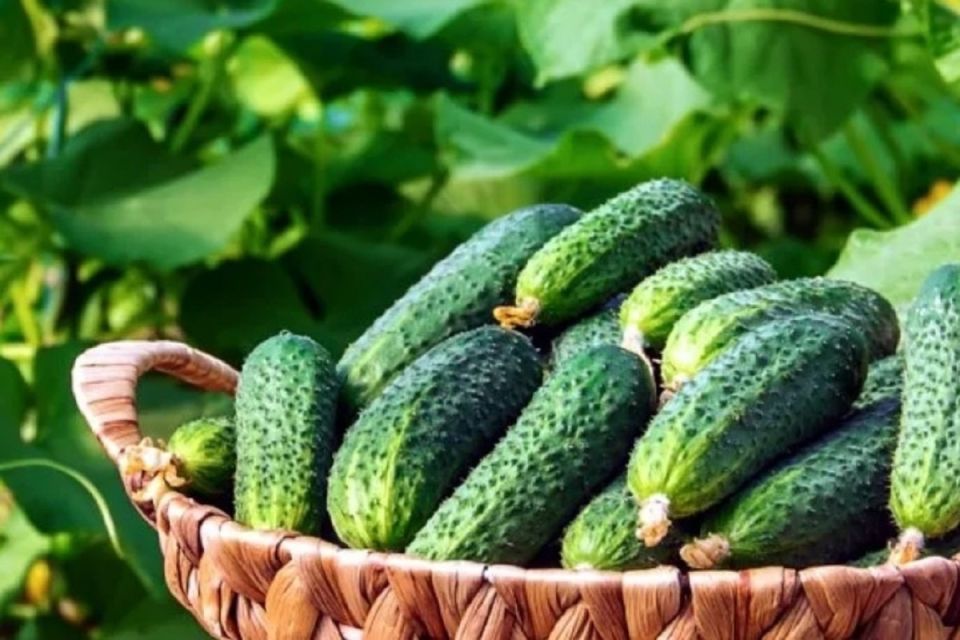 ��������� ��������� ��� �������, ������� ������ ��� ����� ��������������