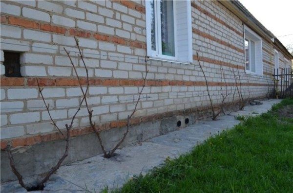 �������� � ��������: ��� ������� ������ ���� ��� ������ ����