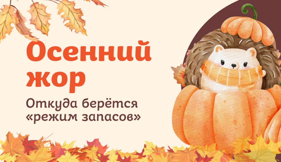 Почему осенью возрастает аппетит и как с этим справиться