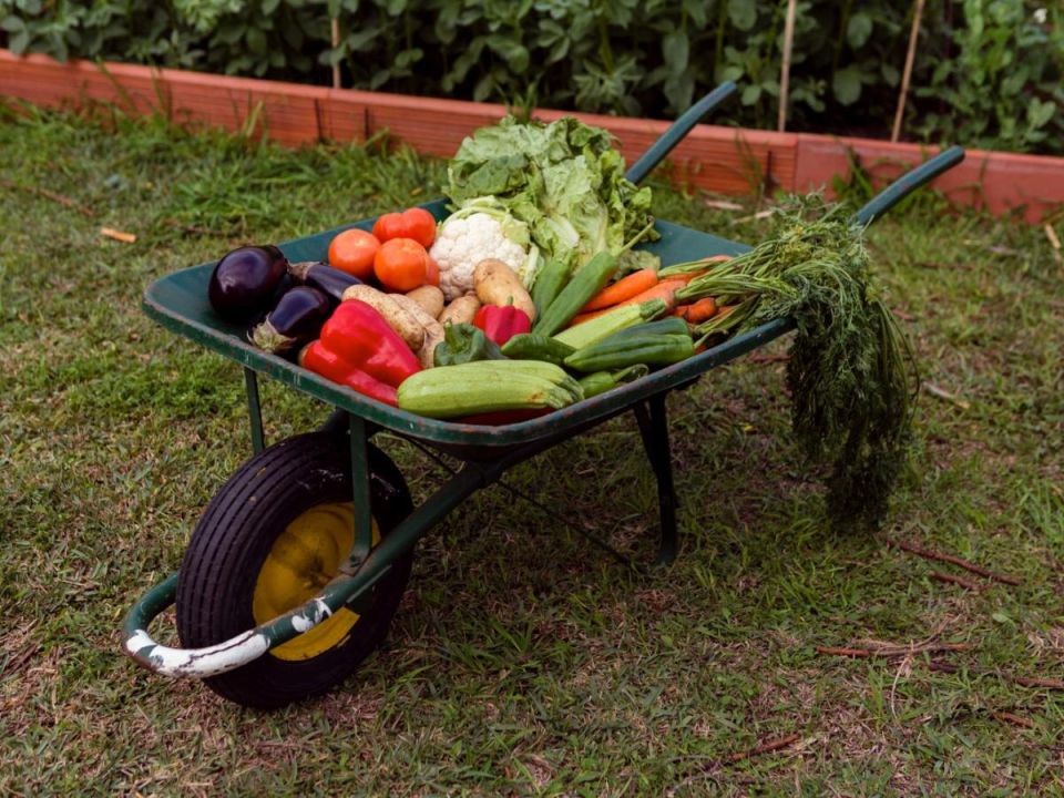 ��� ������� ������ �� ������ ��������, �� � �������