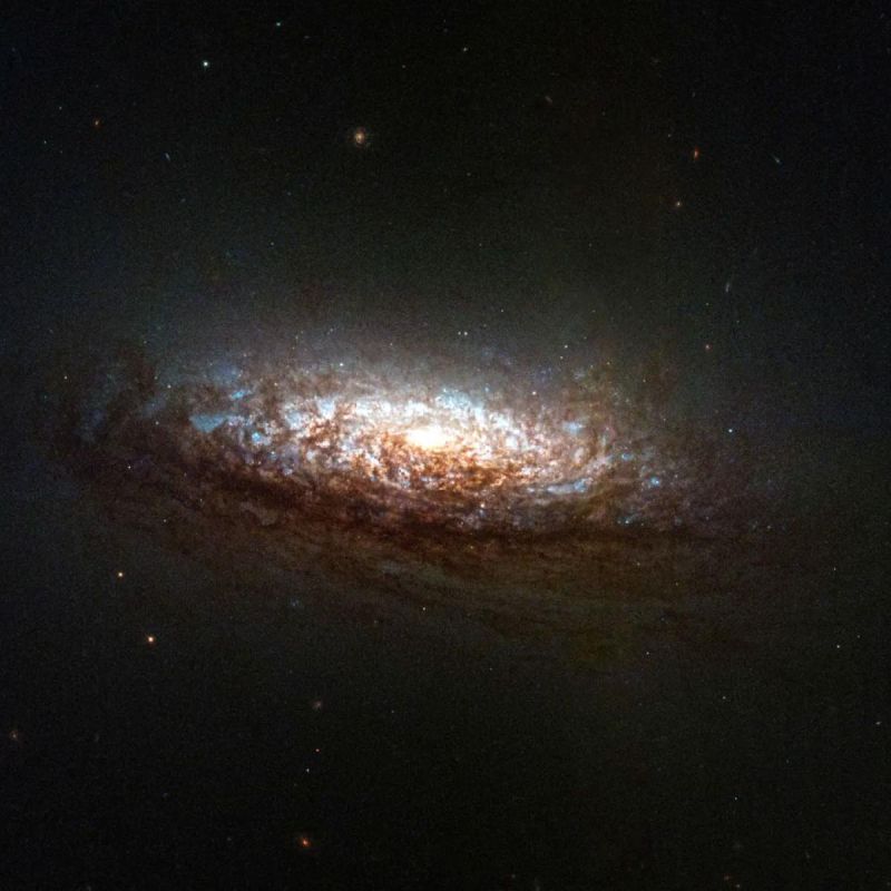 ������ ��������� � �������: ��� ������������� ����� � ������ ���������