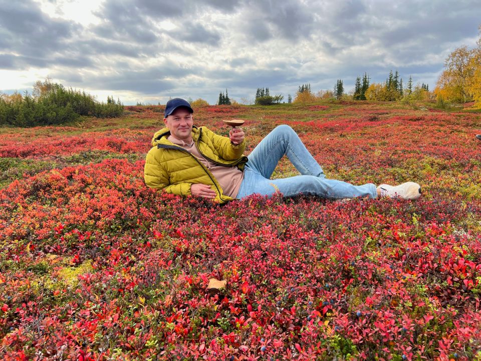 Северные тайны леса: что удалось собрать за Полярным кругом