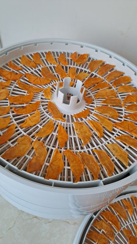 ����� ����� � ��������������