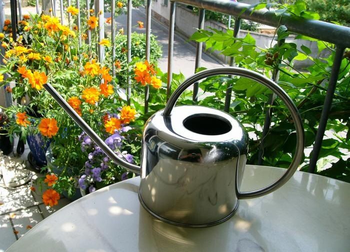 ����������� ���������: ��� ������� ���� �������� ����� ���������