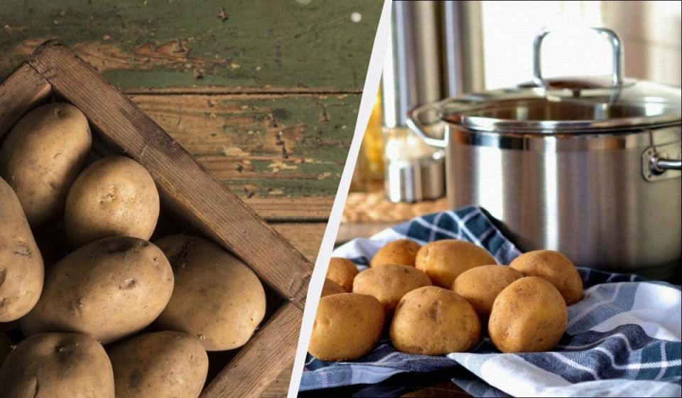 ��� ��������� �������� ������ �� ������ ������: ������� ��������