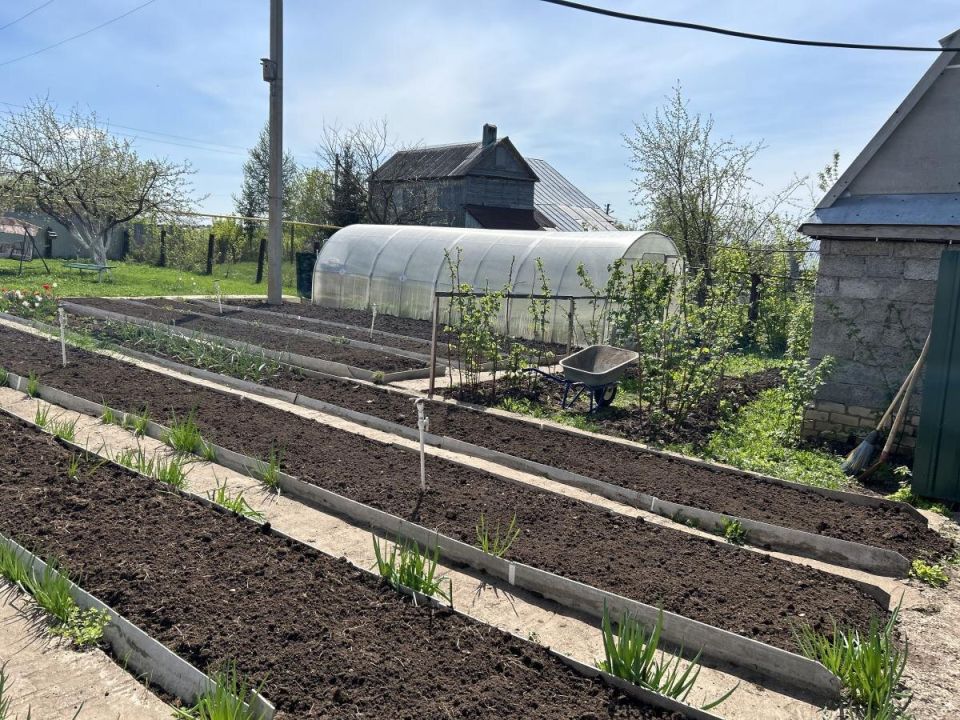 ������ ������ ������ ��� ������ � ��������� ������� ��� ����