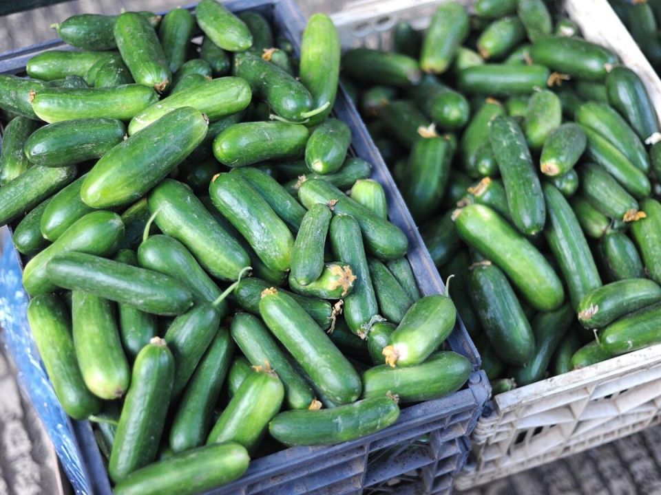 ��� ��������� ������� ����� ��� �������: ��� �������, � ��� ��������