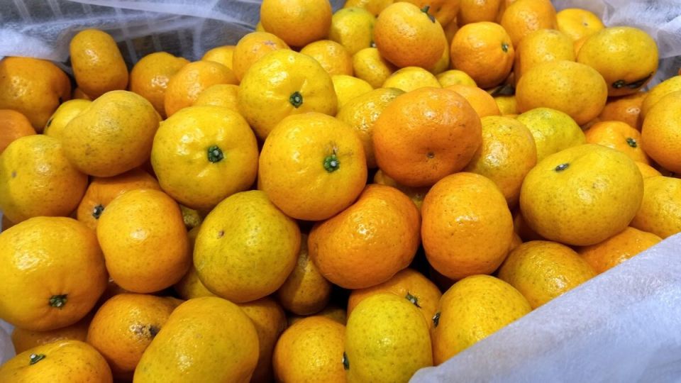 ��� �������� ��������� ��������� �� ��������� � ��������: �������� ������