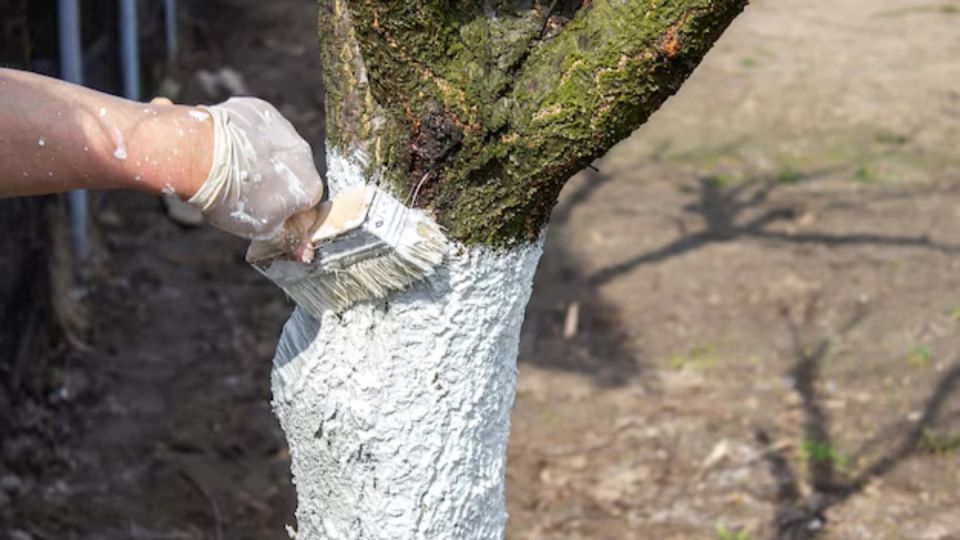 ��� ���� �������� ���������� ������� ���� ������� �� ��������