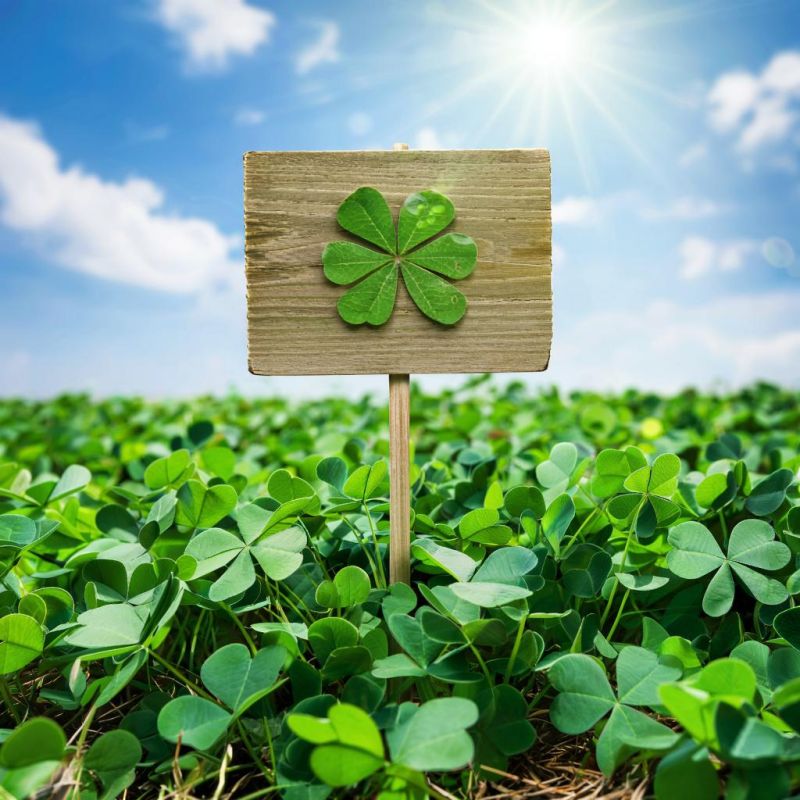 ������: ���� ������ ��� ���������� ���� � ������ ���������