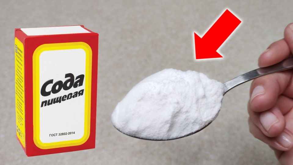 ������� �������� � �����, ������� �������� ���� ���