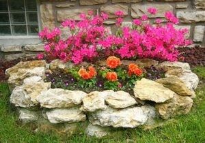 �������� �������: ���������� ��� ���������-��������