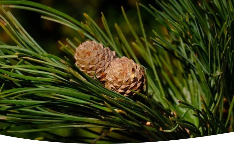 ������ � ������� � ������ ������ � ����� ������ �������� ����